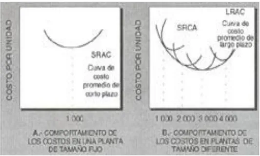 Gráfico Nº 7 Costos 