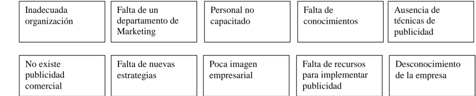 GRÁFICO N° 1  ARBOL DE PROBLEMAS 