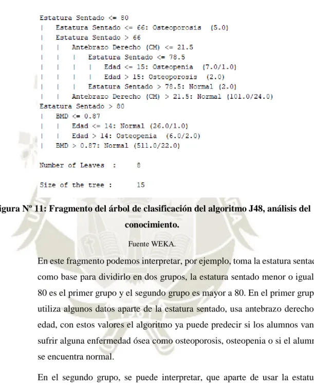 Figura Nº 11: Fragmento del árbol de clasificación del algoritmo J48, análisis del  conocimiento