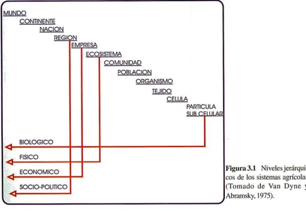 Figura 3.1 Niveles jerárqui- jerárqui-cos de los sistemas agrícolas (Tornado de Van Dyne y Abramsky, 1975).