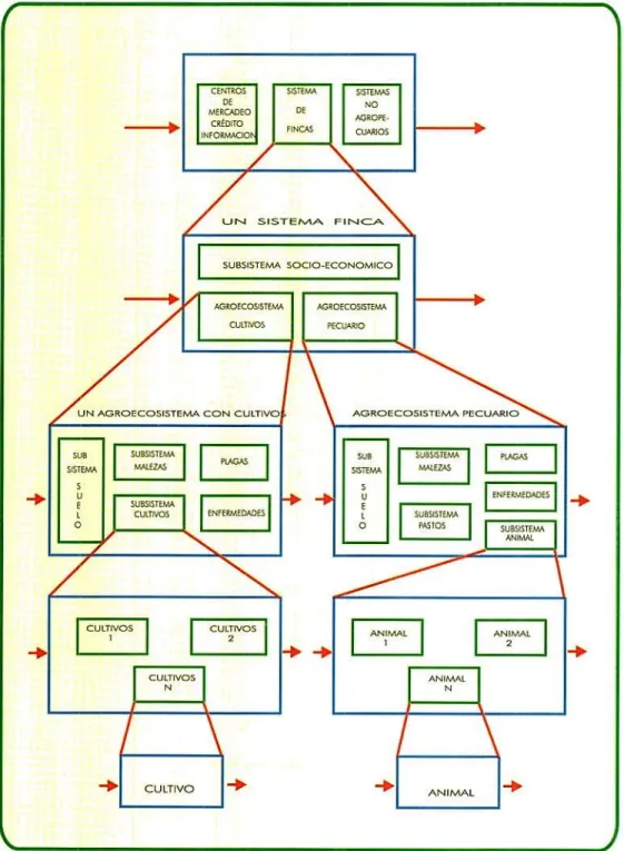 Figura 3.2 Concepto de jerarquías en sistemas agrícolas (Tomado de Haii.  1985).