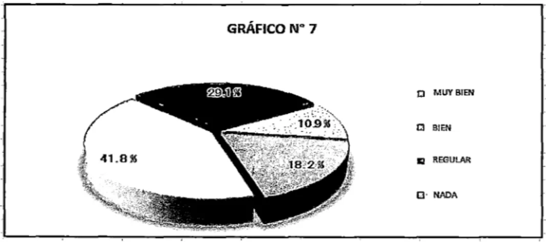 GRÁFICO No  7 