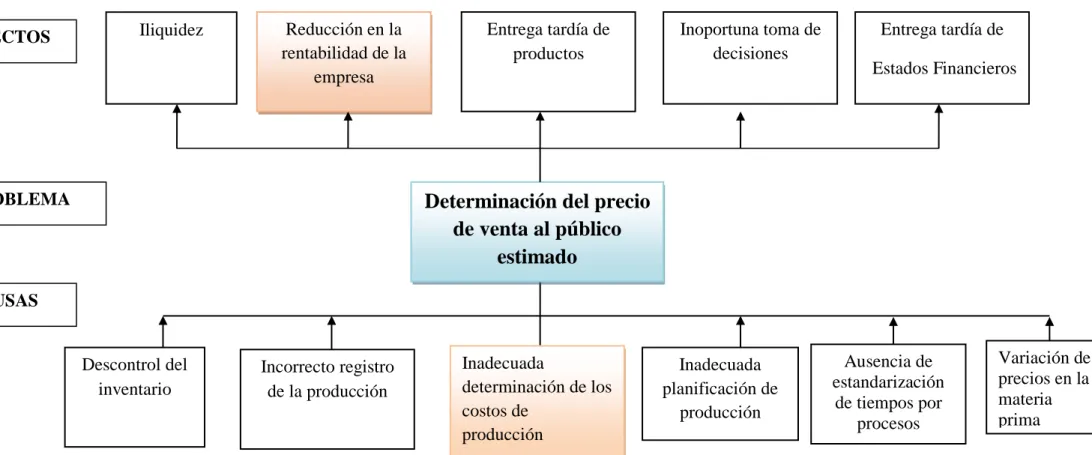 Gráfico Nº 1 Árbol de problemas  