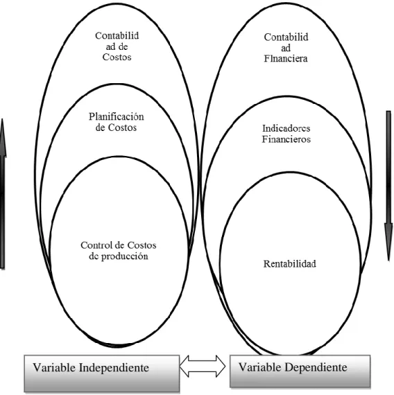 Gráfico N.- 5  Superordinación conceptual 