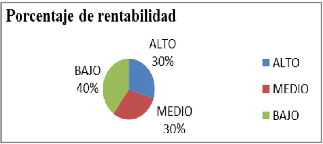 TABLA N.- 15. Indicadores de rentabilidad 