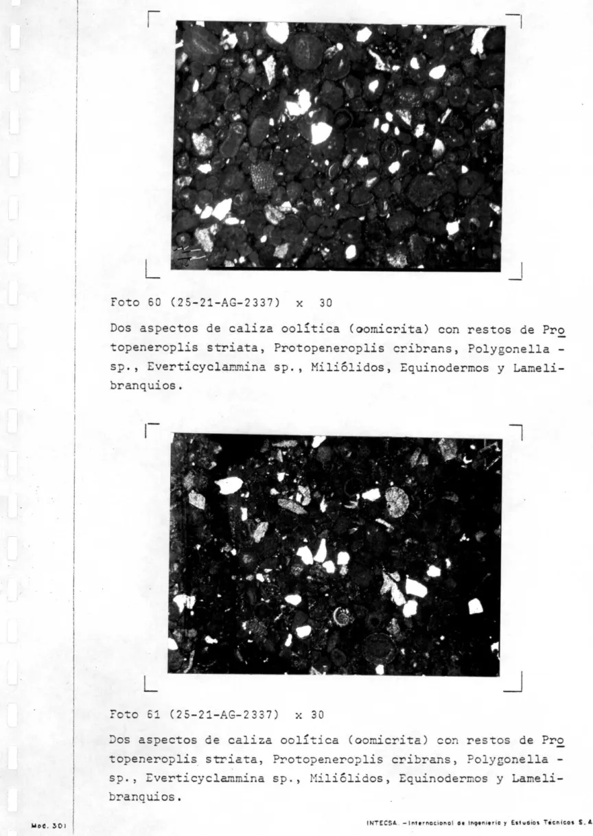 Foto El- (25-21-AG-2337) 30