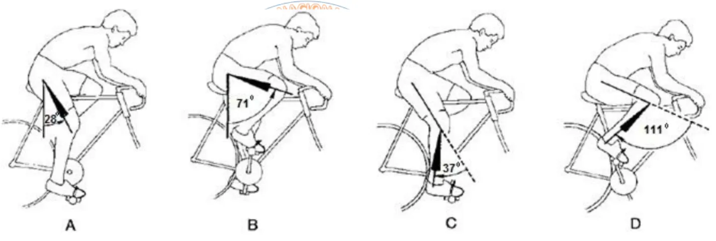 Fig. N°2.9. Ángulos característicos del pedaleo 