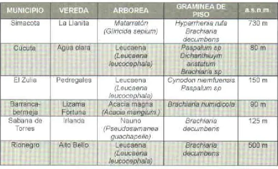 Tabla  1. Localización  v arbóreas  establecidas  Dor localidad