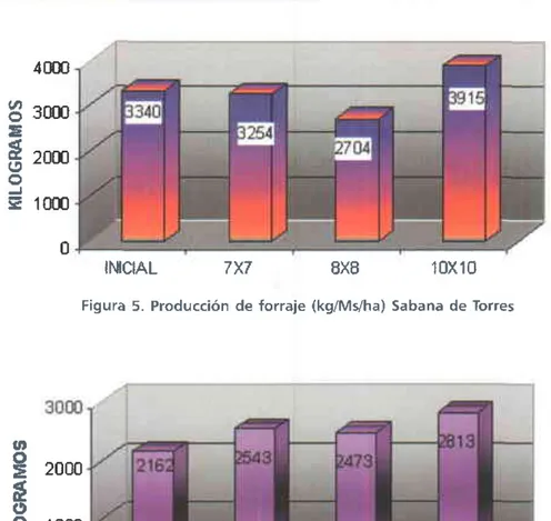 Figura 5. Producc¡ón  de forraje (kg/Mlha)