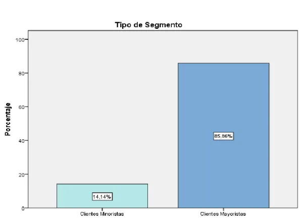 Gráfico 15. Tipo de Segmento 