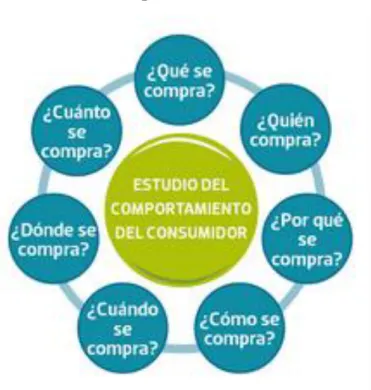 Ilustración 5 Comportamiento del Consumidor 