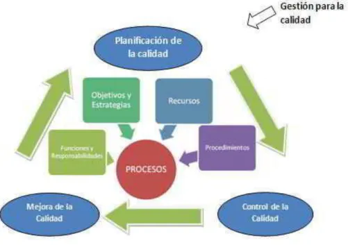 Ilustración 9 Proceso de la Gestión de Calidad 