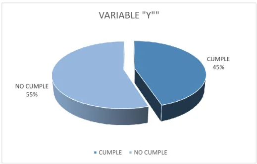 Ilustración 4. Resultados de la variable “Y”. 