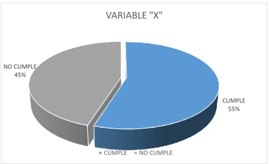 Ilustración 8. Resultados de la variable “X”. 