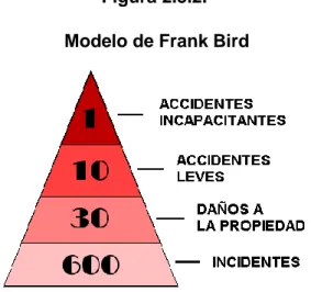 Figura 2.3.2.   Modelo de Frank Bird 