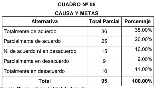 CUADRO Nº 06  CAUSA Y METAS 