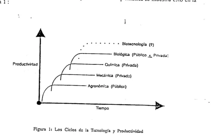 Figura lc Los Ciclos d. la Tcrrnlogía y ProductivicL1
