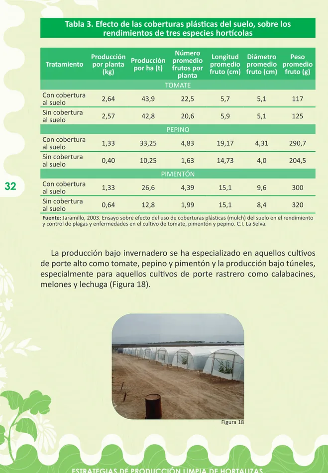 Tabla 3. Efecto de las coberturas plásti cas del suelo, sobre los  rendimientos de tres especies hortí colas