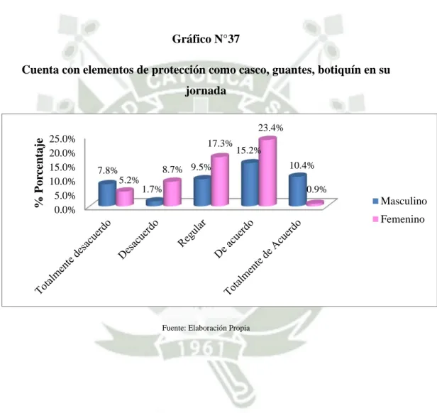 Gráfico N°37 