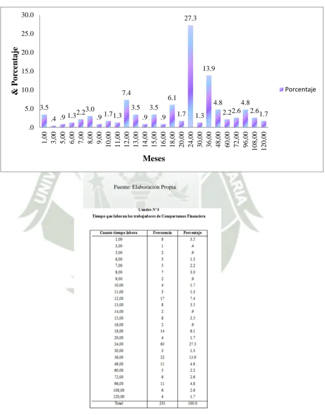 Gráfico N°4 