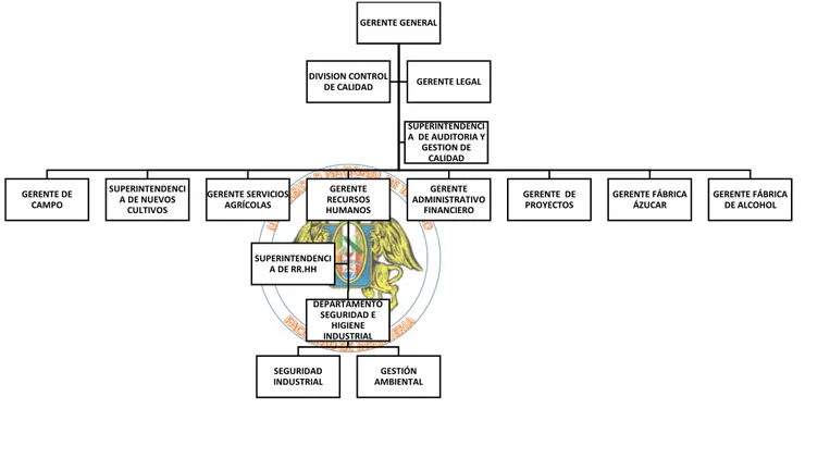 Figura N° 1: Diagrama organizacional de la empresa Cartavio S.A.A  Fuente: Departamento de Seguridad e Higiene Industrial