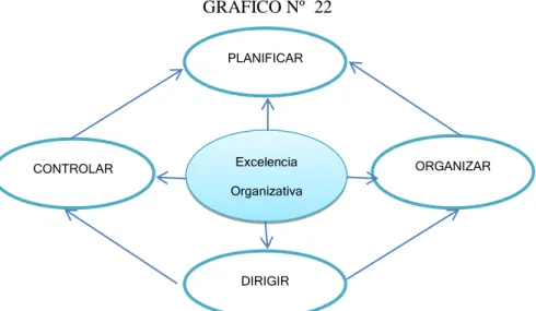 GRÁFICO N° 22 