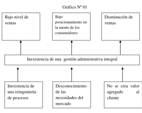 Gráfico Nº 01 