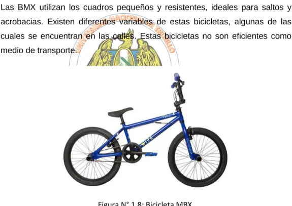 Figura N° 1.8: Bicicleta MBX. 