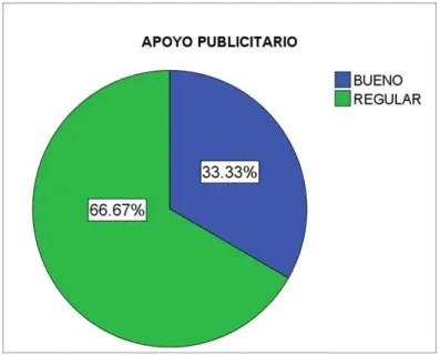 Gráfico 4: Apoyo Publicitario 
