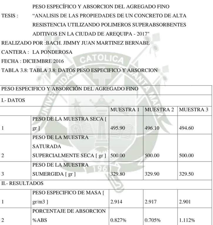 TABLA 3.8: TABLA 3.8: DATOS PESO ESPECIFICO Y ABSORCION       
