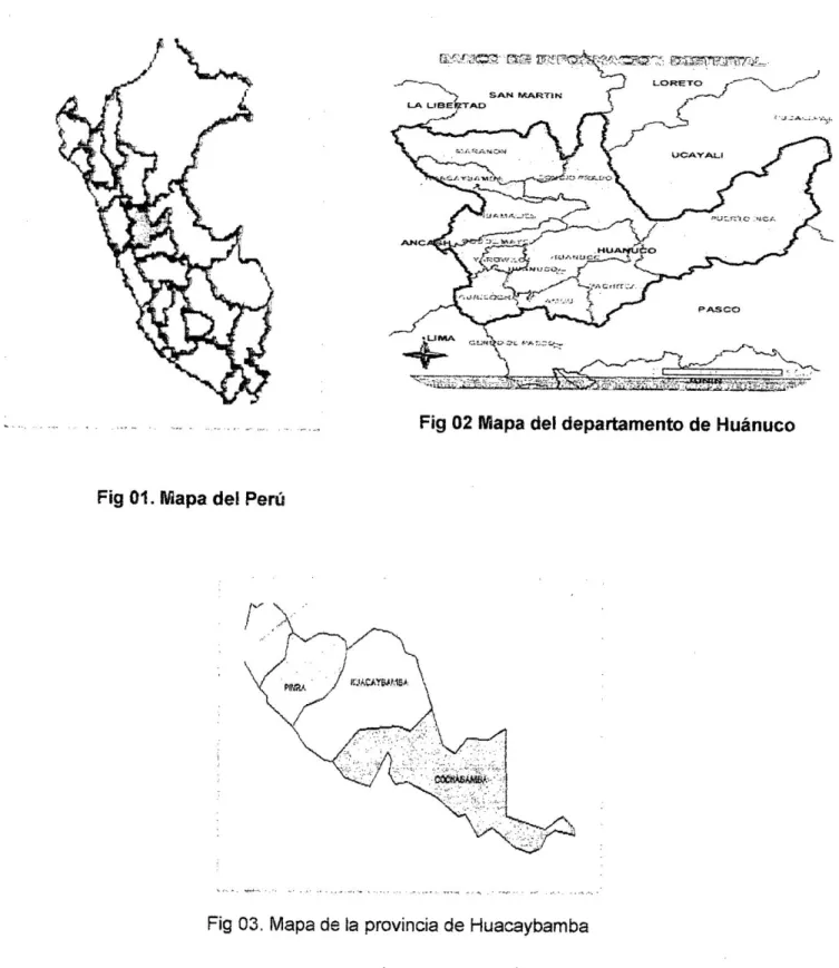 Fig 01. Mapa del Perú 