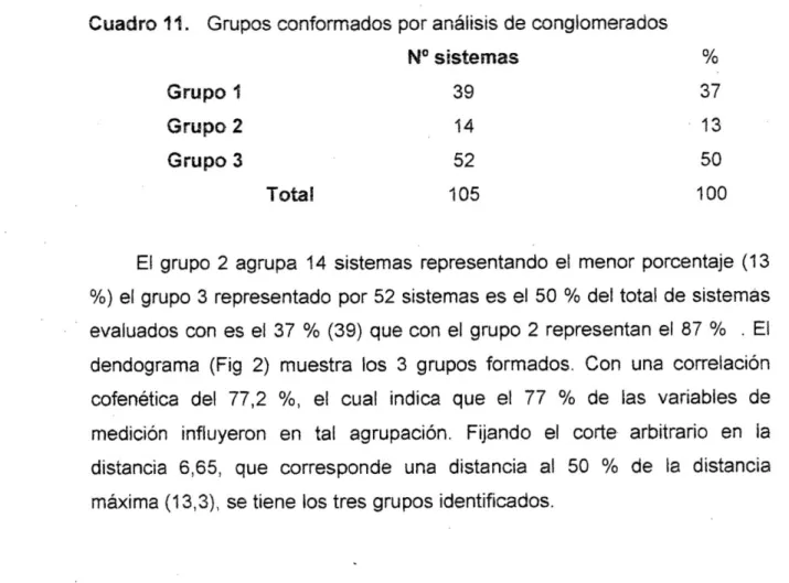 Cuadro 11. Grupos conformados por análisis de conglomerados 