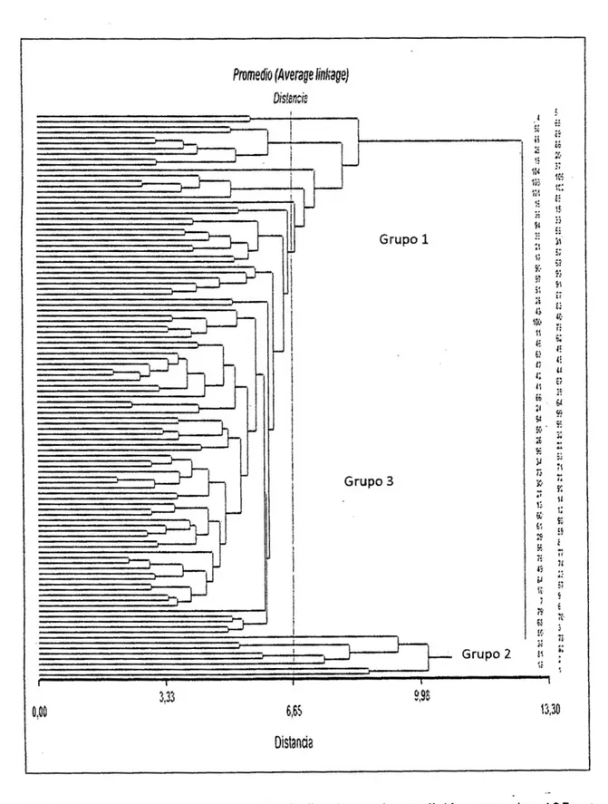 Fig 04. Dendograma en base a 30 indicadores de medición para los 105  sistemas de producción de cuyes