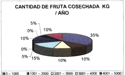 Figura 2. Cantidad de fruta cosechada Kg laño