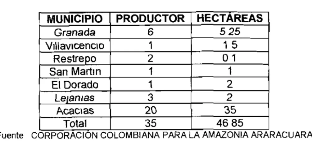 Tabla 2 Producclon de Araza en el Departamento del Meta (2001) MUNICIPIO PRODUCTOR HECTAREA5