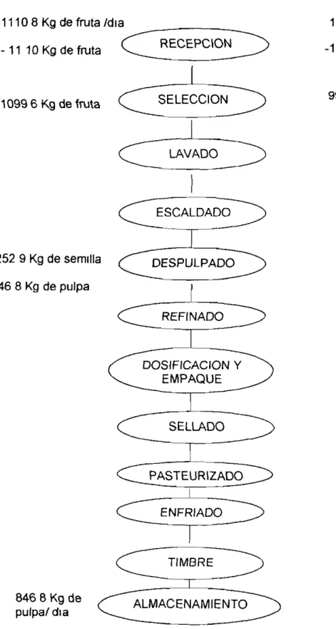 Figura 2 Balance De Masa Para La Obtenclon De Pulpa De Araza 11108 Kg de fruta Idla
