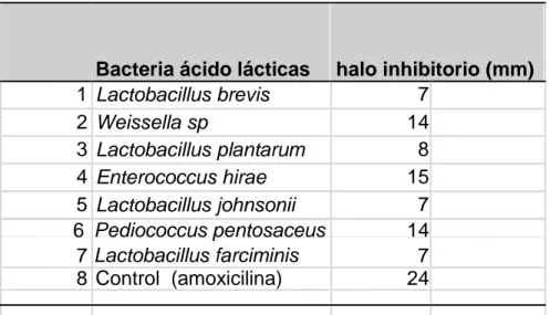 Tabla 2. Cepas bacterianas y tamaño de halo inhibitorio contra Salmonella  typhimurium 
