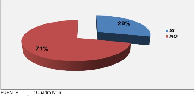 GRÁFICO N° 06 