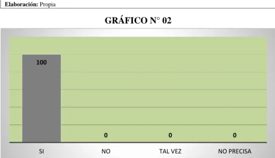GRÁFICO N° 02 