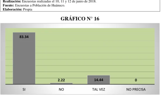 GRÁFICO N° 16 