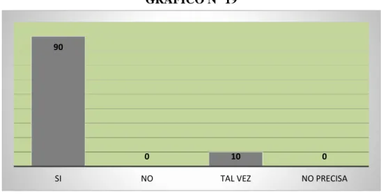 GRÁFICO N° 19 