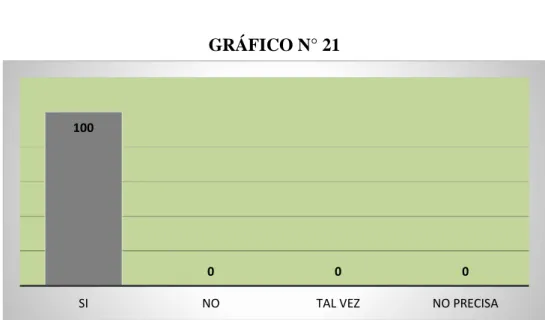 GRÁFICO N° 21 