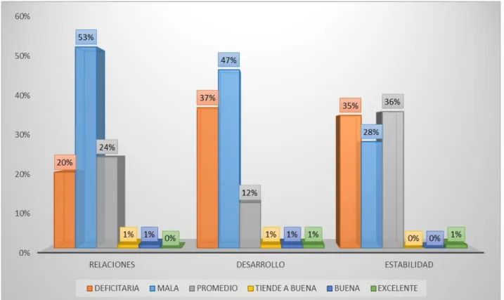 GRÁFICO Nº 01 