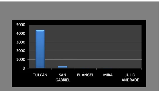 Gráfico 11 