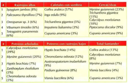 Tabla 4.  Especies de plantas más comunes en los hábitats y en total del área estudiada en Santander.