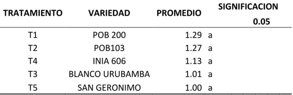 Cuadro 10: Prueba de significación de Duncan para el número de  mazorcas por planta (Nivel de significación de 5%) 