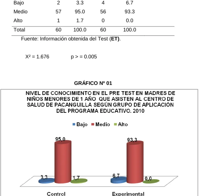 GRÁFICO Nº 01 