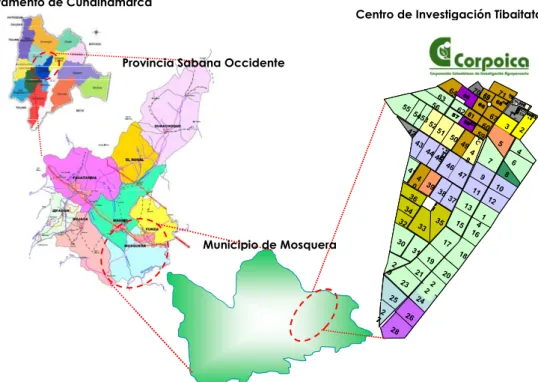 Figura 1.  Ubicación del Centro de Investigación Tibaitatá en el Municipio de  Mosquera, Cundinamarca 