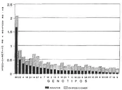 FIGURA  5. Adultos y oviposiciones (x) por grano, de S. zeamais en 3O genotipos de maiz utilizados para determinar  preferencia por la