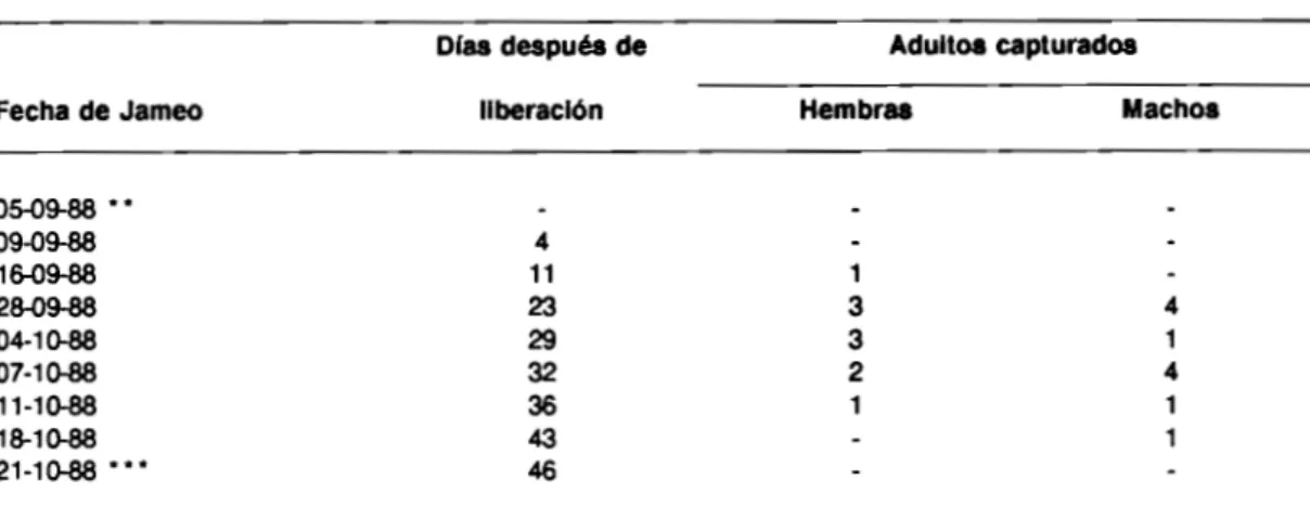 TABLA 4. Número de adultos de B. kirkpatricki capturados después de la última liberación